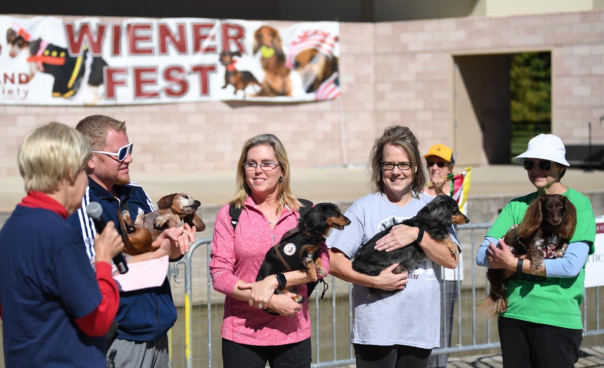 Weiner Fest 2017 5.jpg